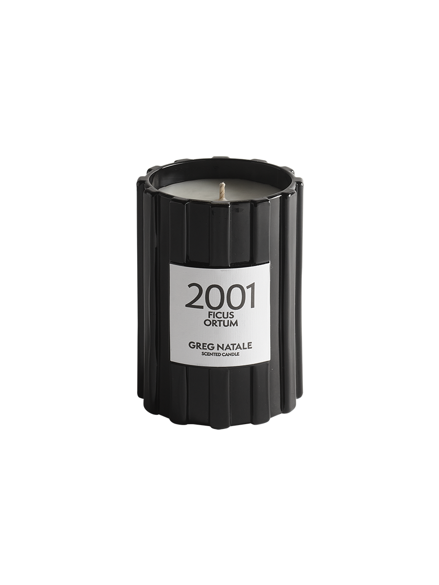 GREG NATALE 2001 FICUS ORTUM CANDLE