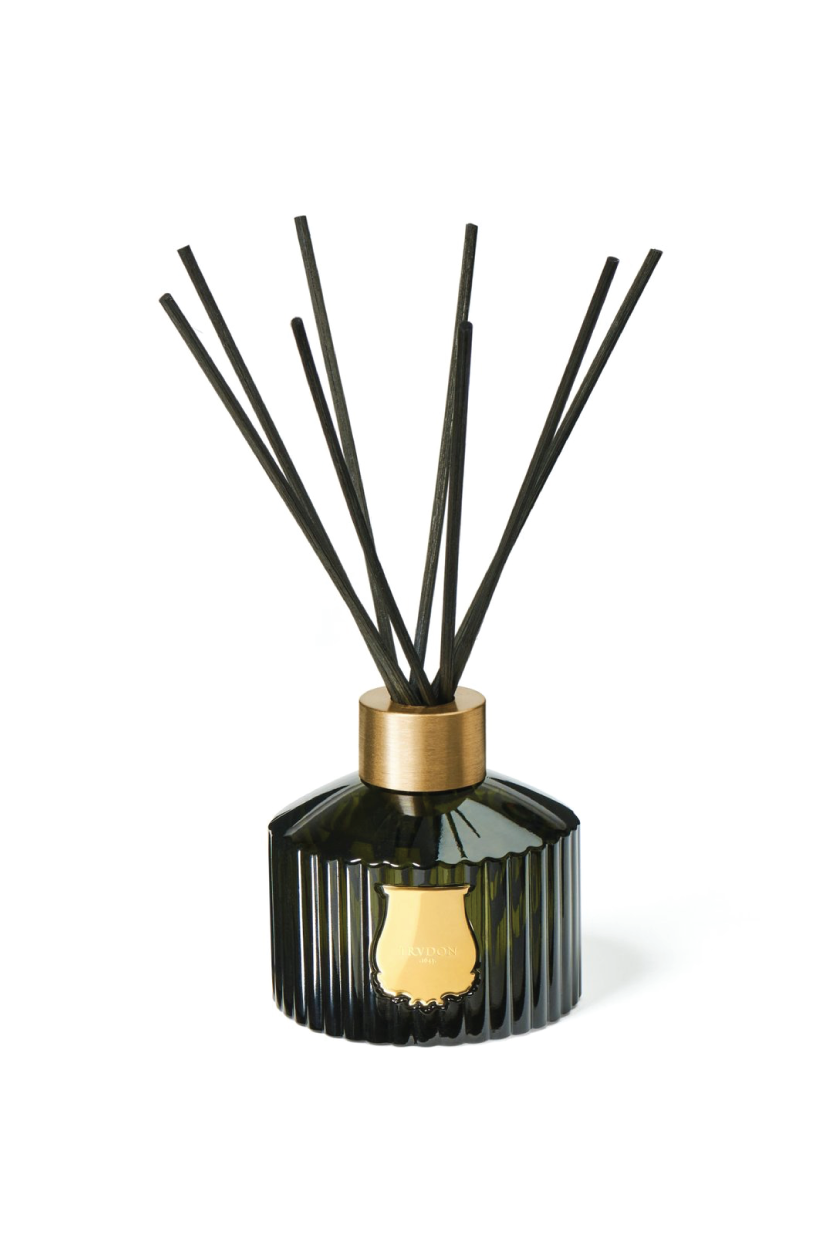 TRUDON ERNESTO LE DIFFUSEUR