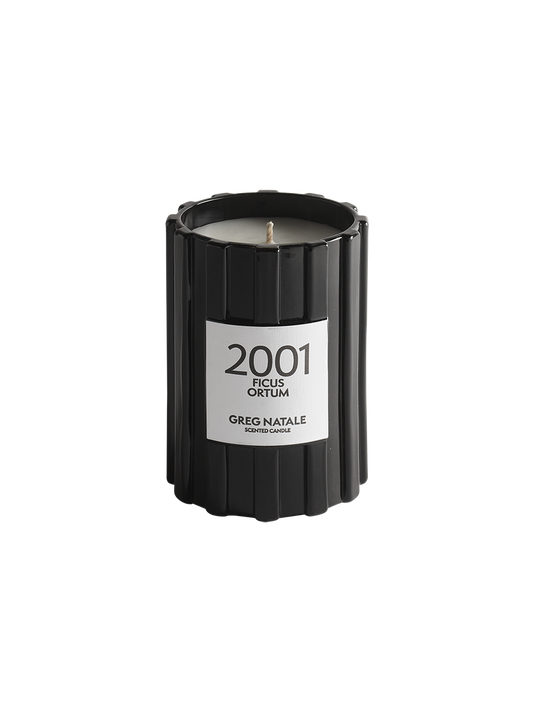 GREG NATALE 2001 FICUS ORTUM CANDLE