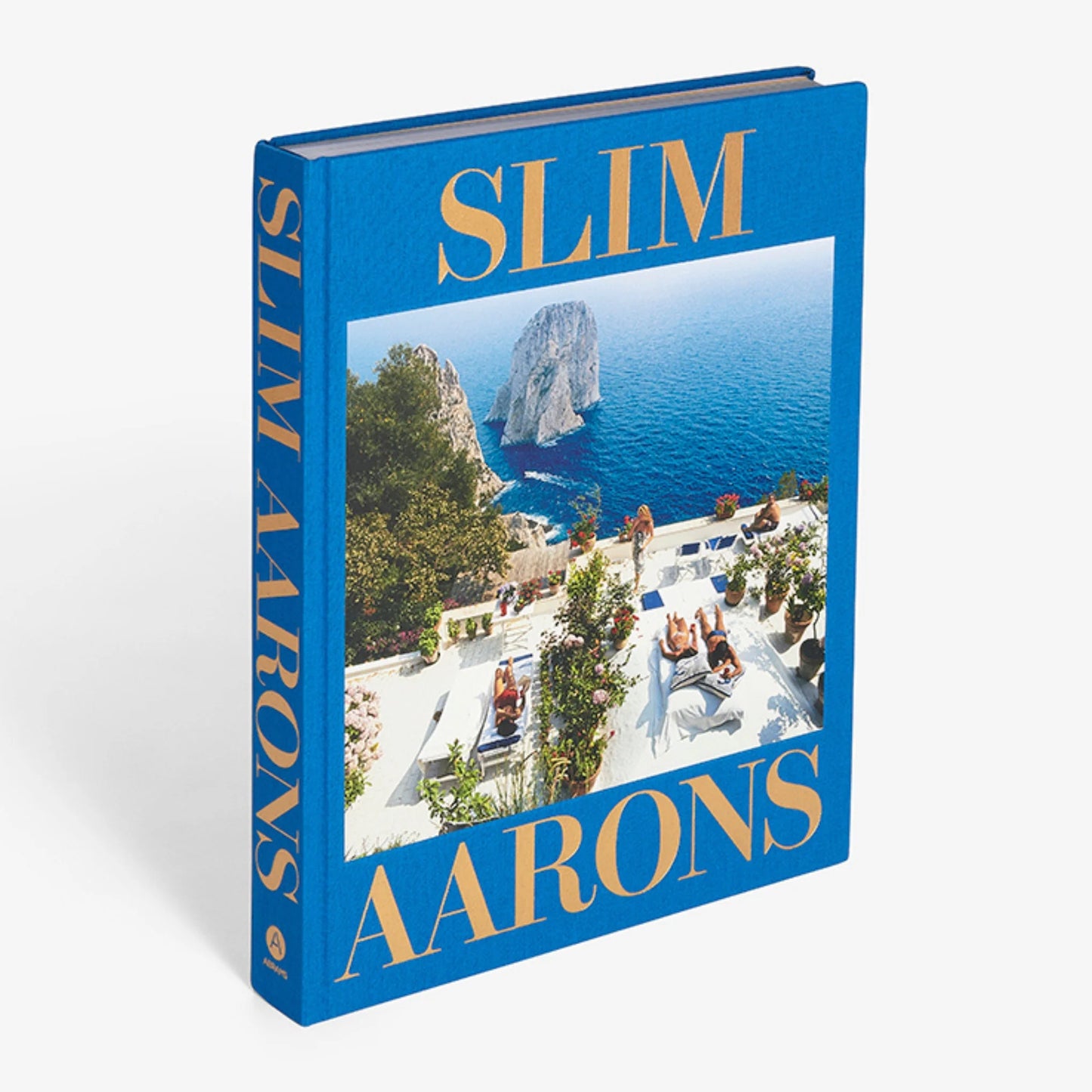 SLIM AARONS BOOK